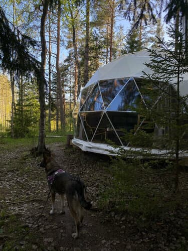 Vuoksa Camp ( Вуокса Кемп ) — шатёр в Ленинградской области