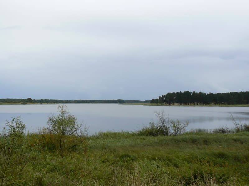Волго
