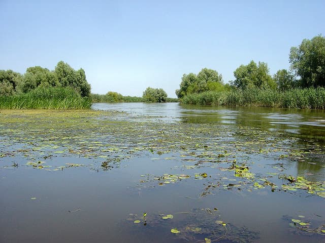 Астраханский заповедник