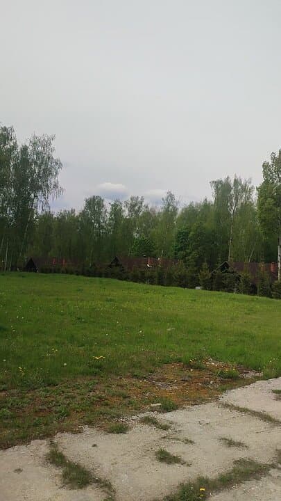 Чайка