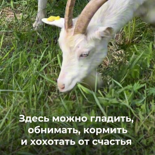 Эко-парк "Дух природы"