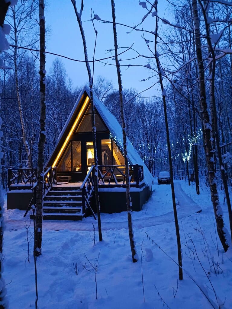Лесной сон