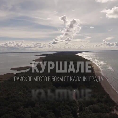 Куршале