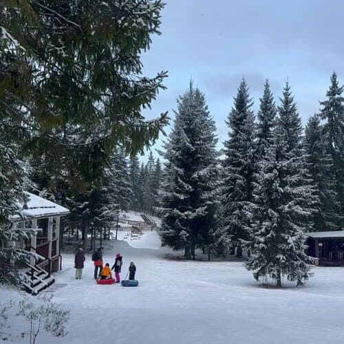 Любогорье