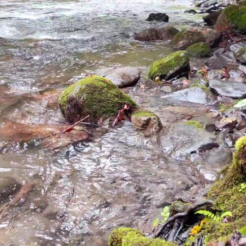 River Side