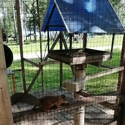 База отдыха Серебряный Ключ