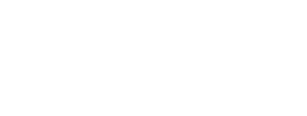 Снегири Village