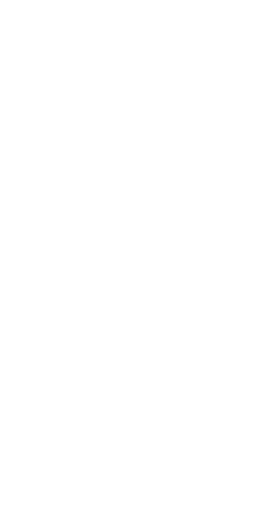 Снегири Village