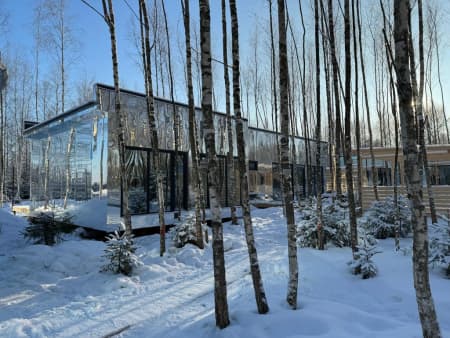 "МЫ Дома - в Зеркальном лесу" — глэмпинг в Московской области