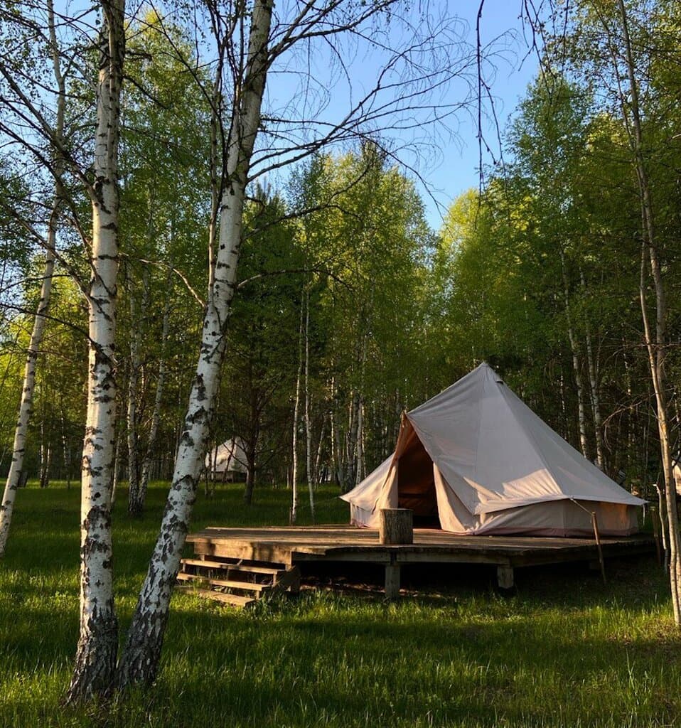 Звездный лес — глэмпинг в Архангельской области