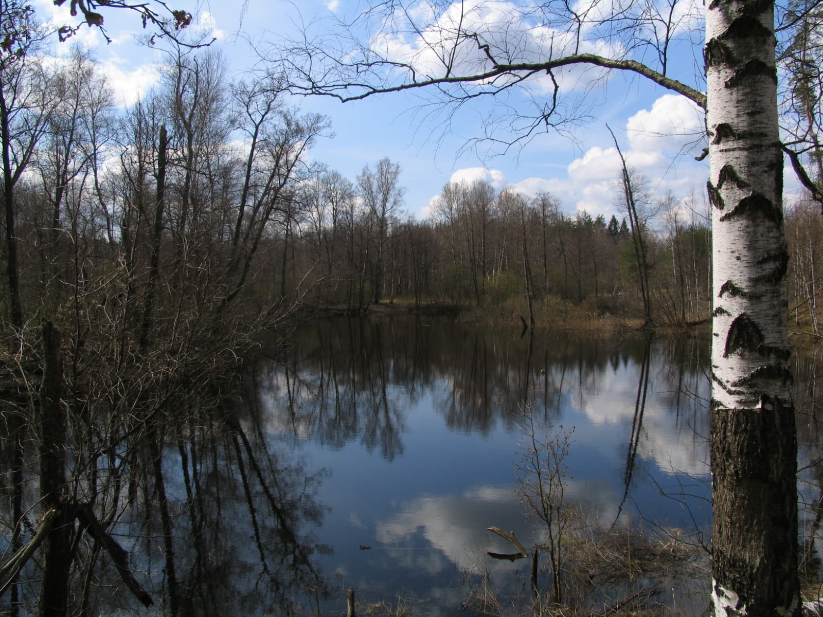 Мещёра (национальный парк)