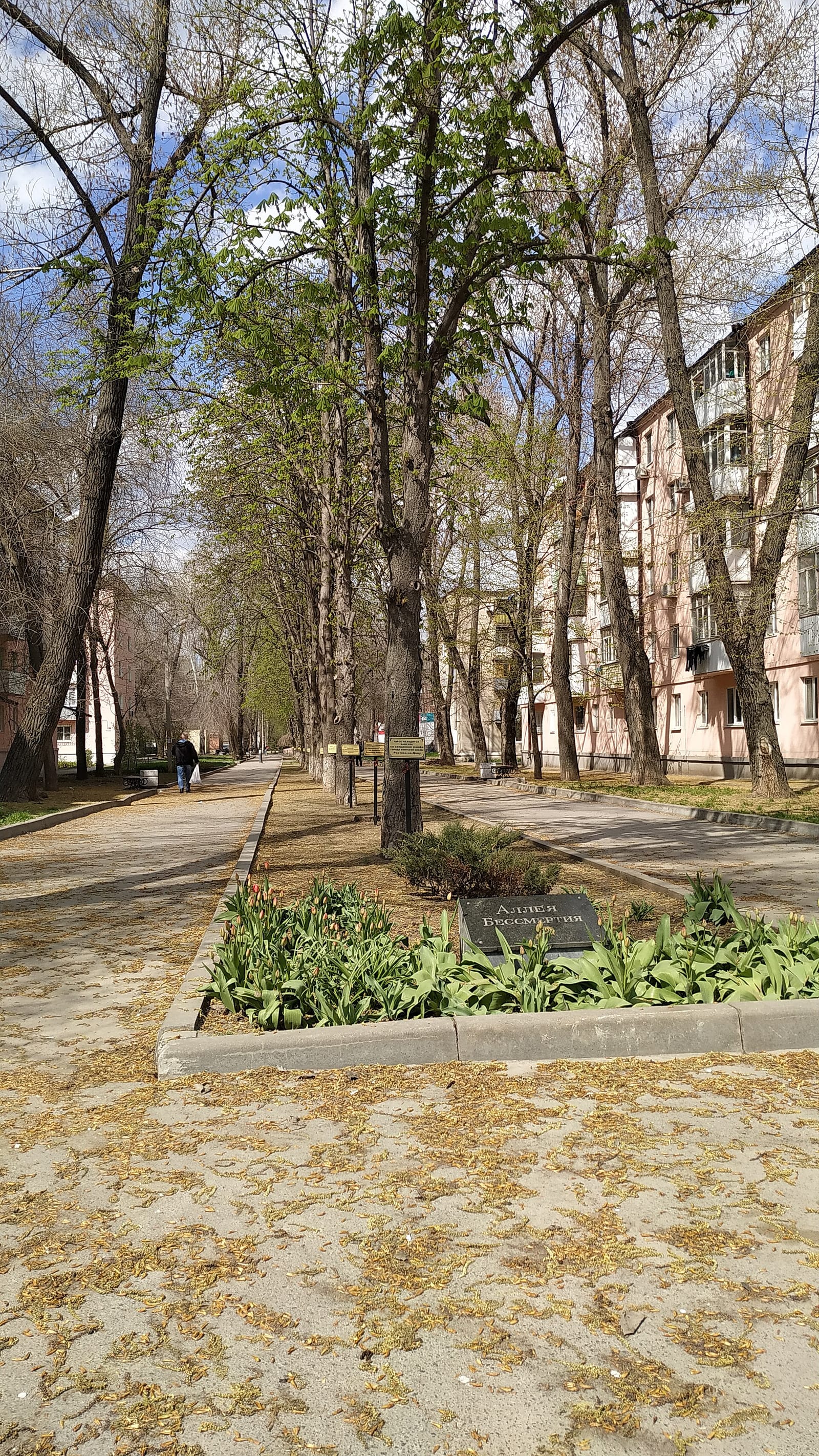 Аллея Бессмертия (Таганрог)