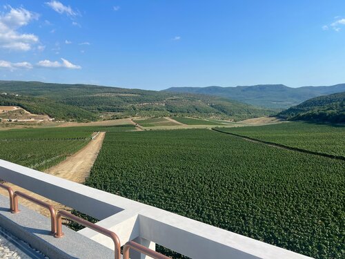 Aya - Organic wine & Vineyards