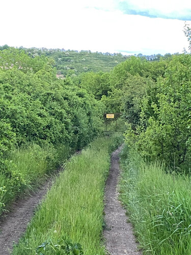 Баталинский источник
