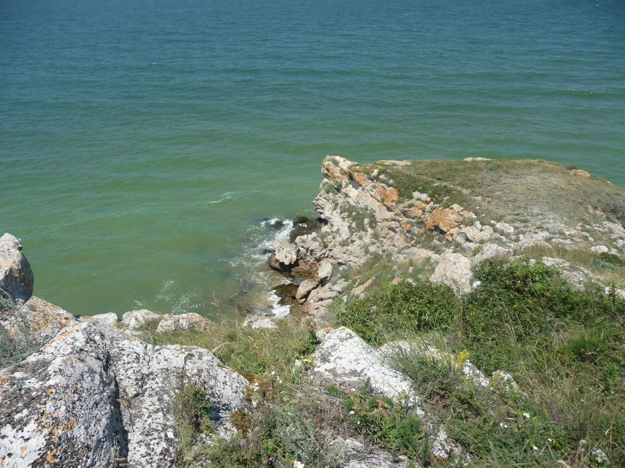 Чаганы