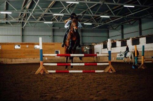 Club Horse