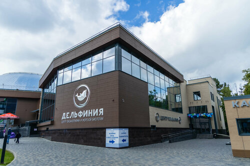 Дельфиния