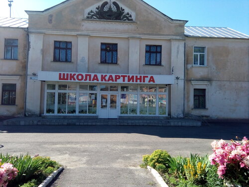 Детско-юношеская спортивная школа "Картинг"
