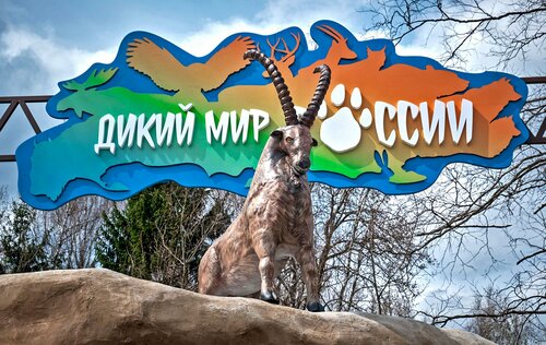 Дикий мир России
