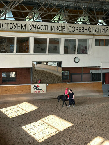 ИППО