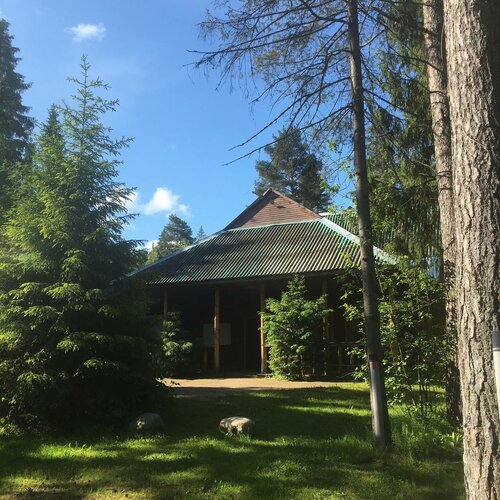 Конни