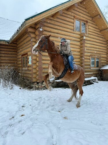 Конно-сказочный хутор