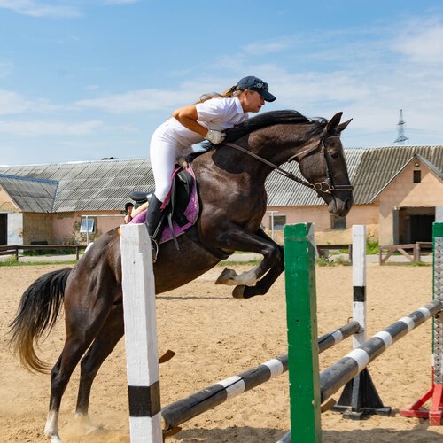 Конный клуб ChudoHorse
