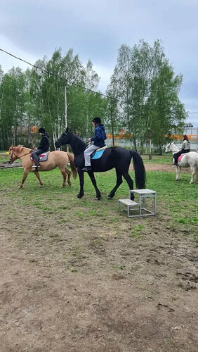 Конный клуб Гжель