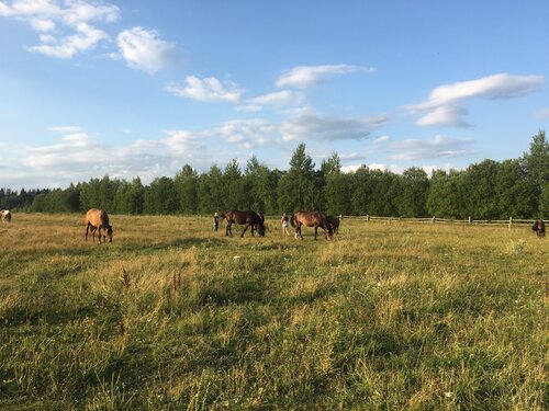 КСК "Парк Рождественно"
