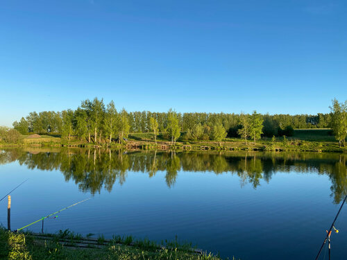 Ледово