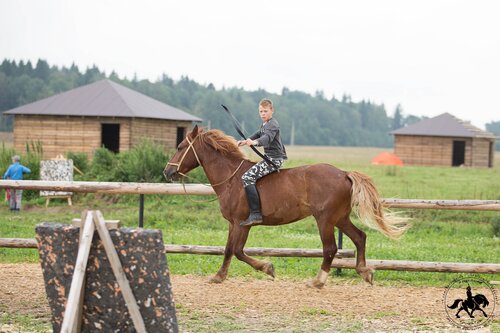 Морозов Horses