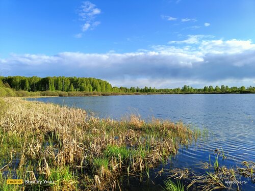 Муромский заказник