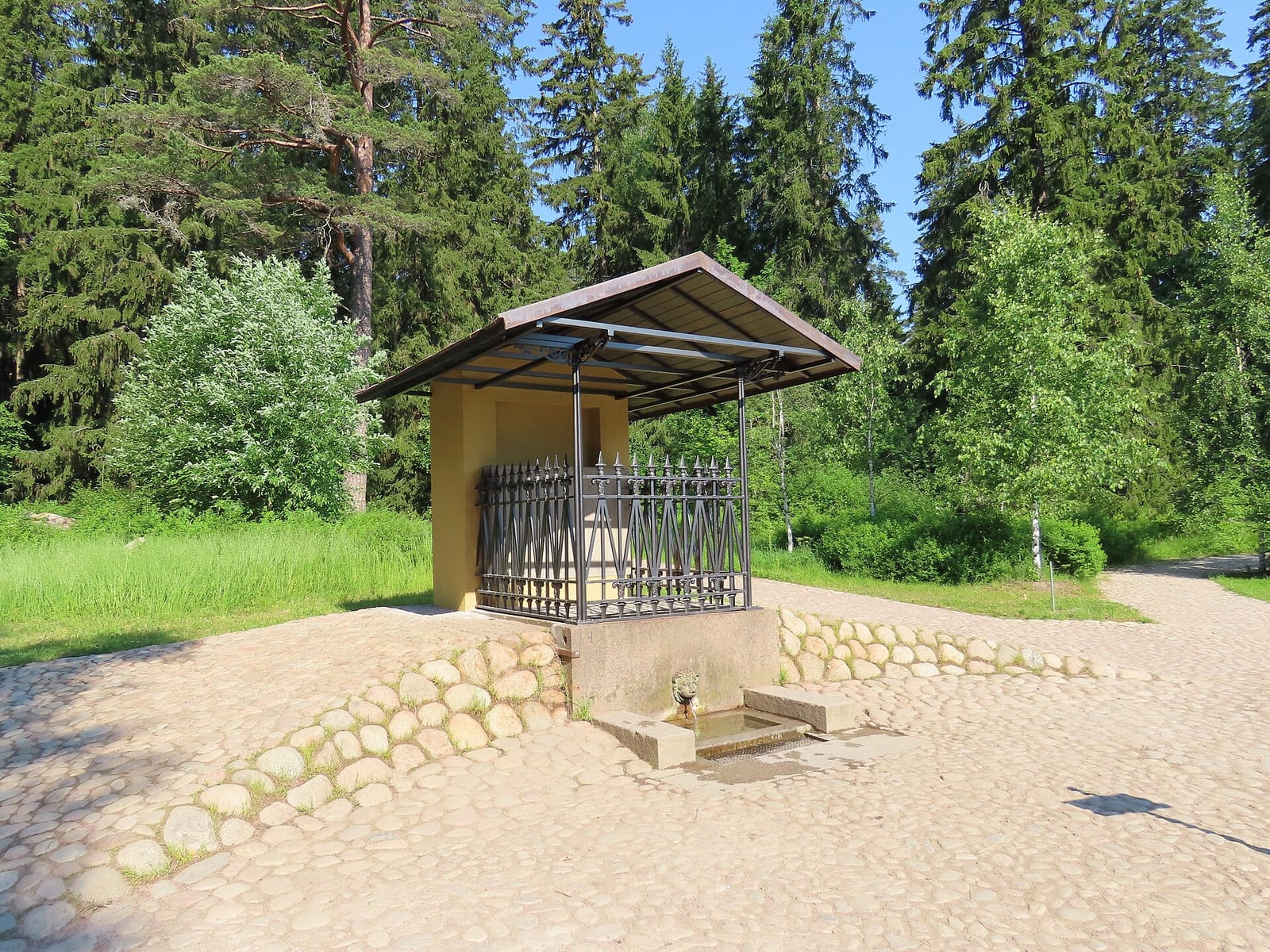 Нарцисс (источник)