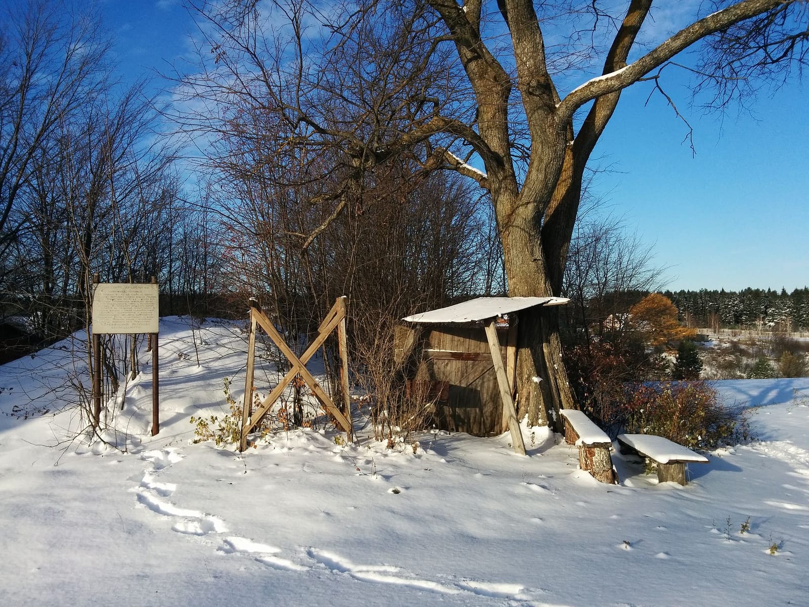 Никульчинское городище