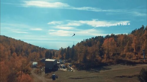 Путь Тарзана