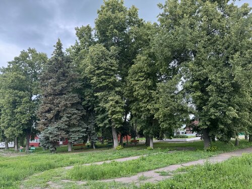 Рёдерс сад