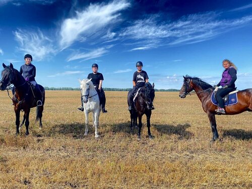 Rizvanov Stable