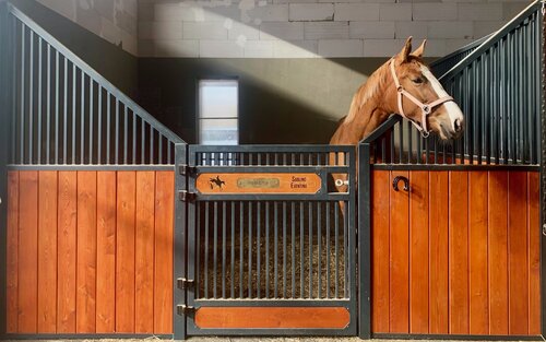 Sablino Eventing