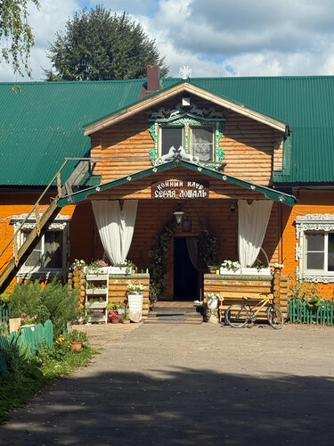 Серая лошадь