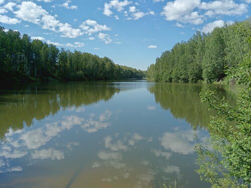 Силкин Лог