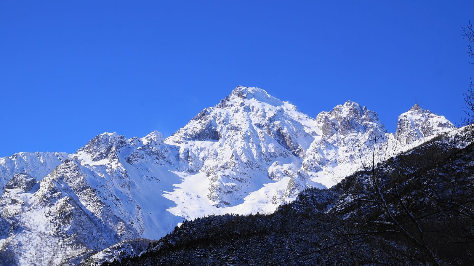 Цейский ледник