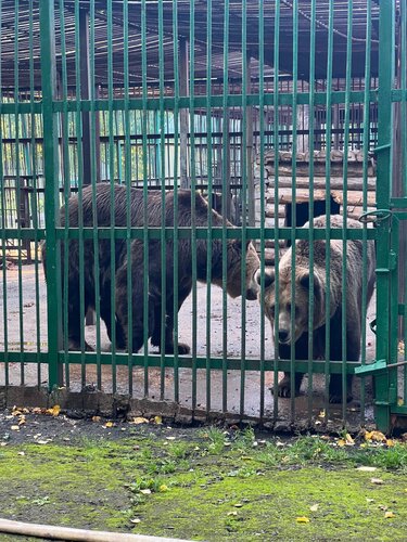 Вольерное хозяйство