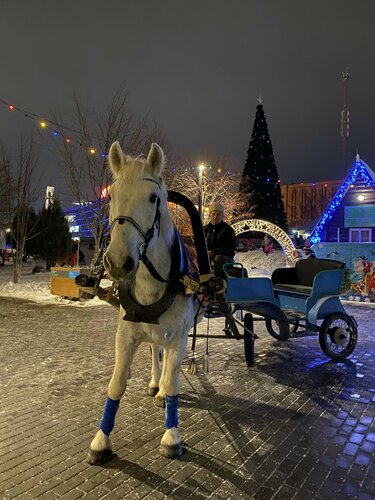 Вольный