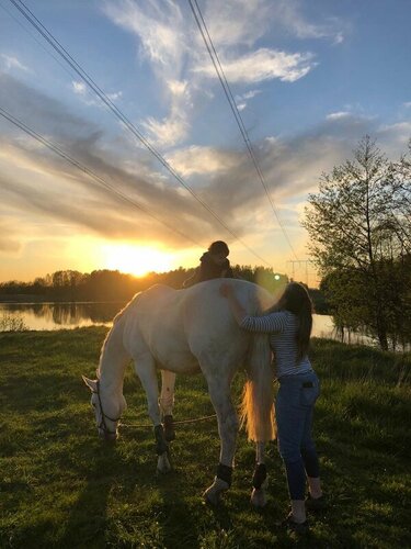White Horse
